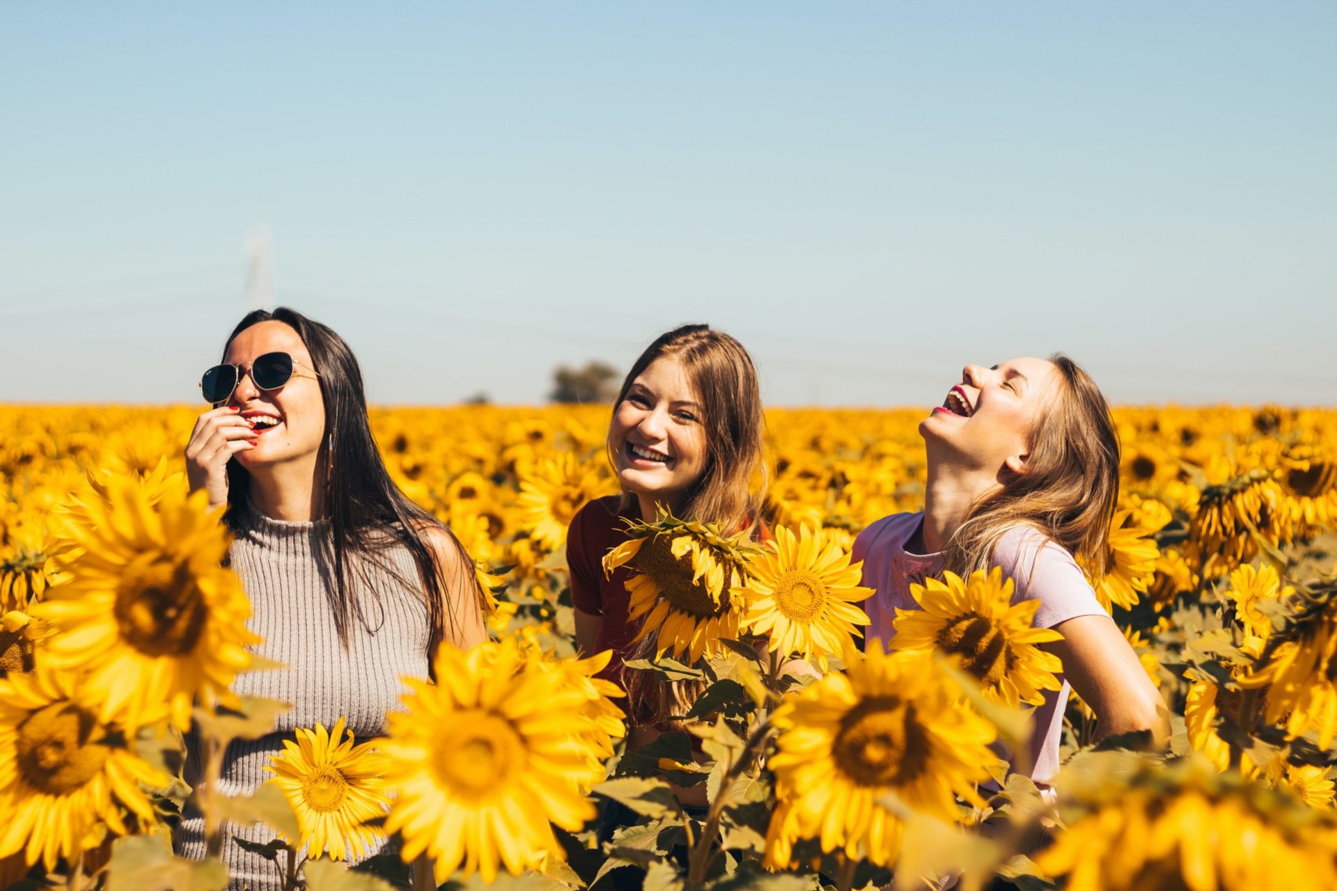 manifest more happiness