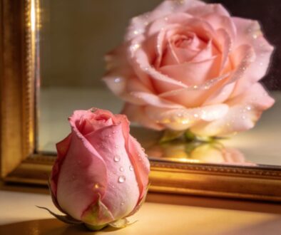 Move the stone reflection